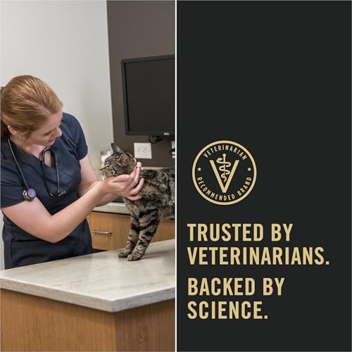 Purina Pro Plan High Protein Cat Food With Probiotics for Cats, Chicken and Rice Formula - 16 lb. Bag