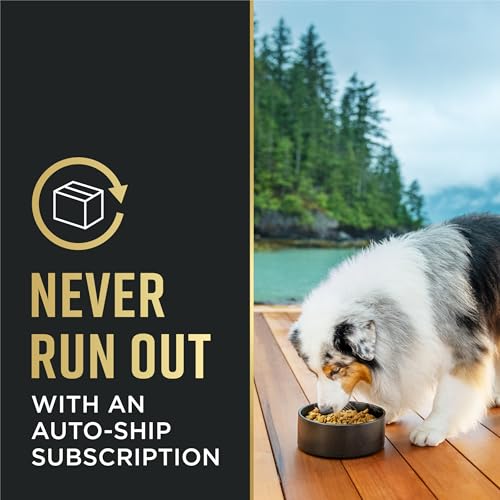 Purina Pro Plan Sensitive Skin and Stomach Dog Food Small Breed, Adult Salmon & Rice Formula - 4 lb. Bag