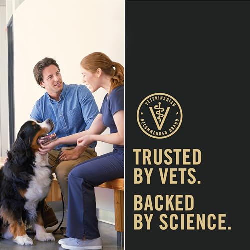 Purina Pro Plan Small Breed Dog Food Shredded Blend Chicken and Rice Formula With Guaranteed Live Probiotics - 34 lb. Bag