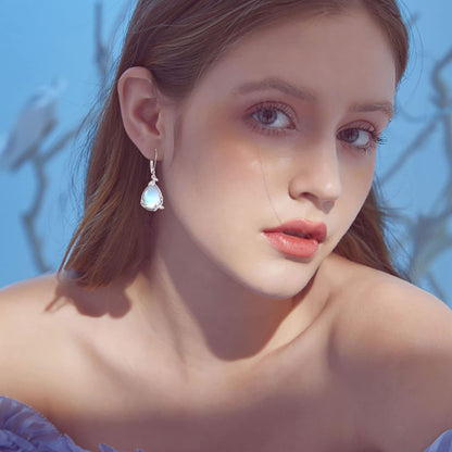 Palpitate Turquoise/Abalone Shell Earrings for Women 925 Sterling Silver Dangle Leverback Earrings Silver Jewelry Christmas Gifts