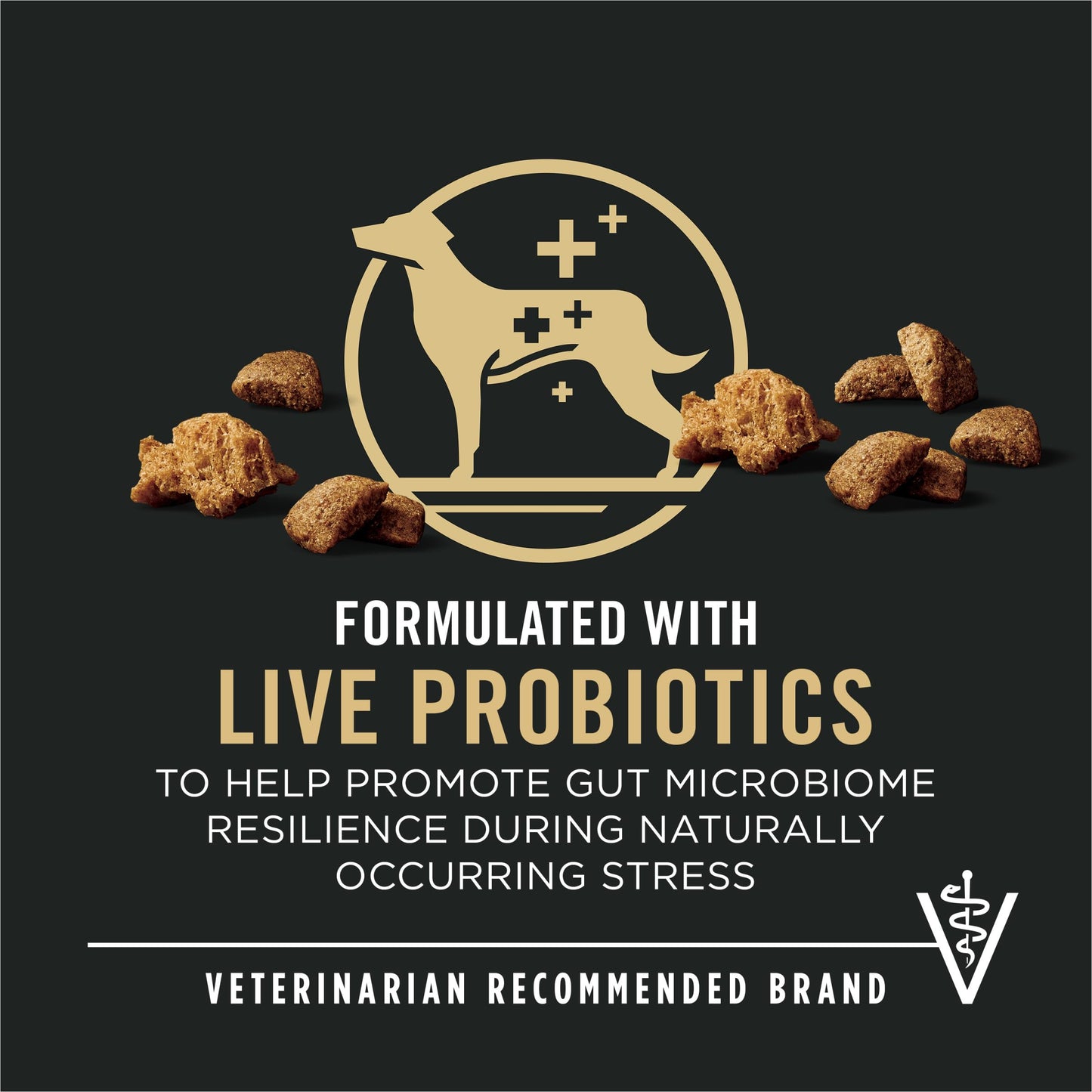 Purina Pro Plan Complete Essentials Shredded Blend Salmon and Rice Dog Food Dry Formula with Probiotics for Dogs - 33 lb. Bag