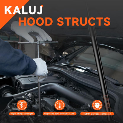 Hood Struts Lift Supports Compatible with Ford Crown Victoria 1992-1997, for Mercury Grand Marquis 1992-1997, for Lincoln Town Car 1998-2002 Sedan Limousine, Replace OE# F3AZ16C826A 4467, 2PCS