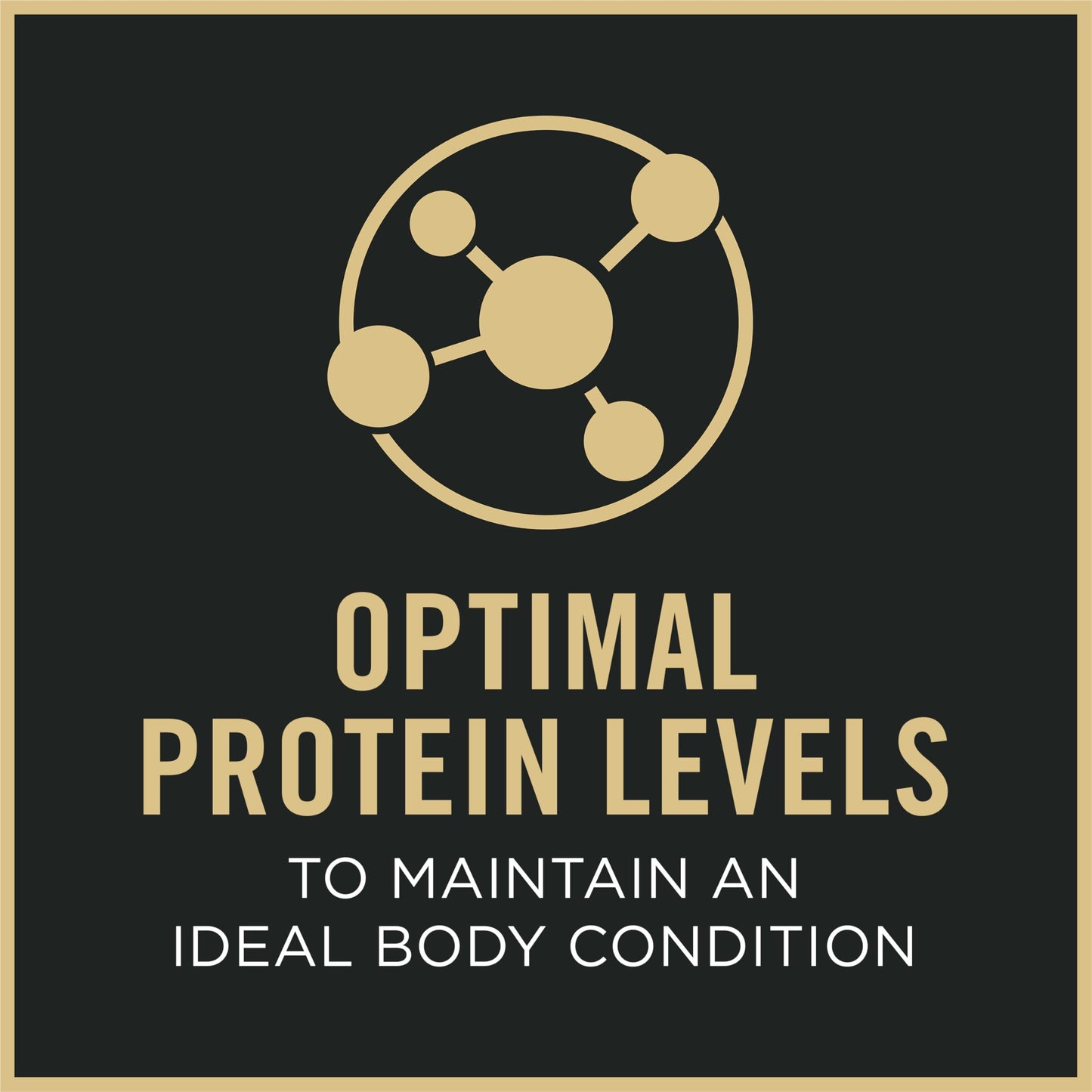 Purina Pro Plan Complete Essentials Shredded Blend Salmon and Rice Dog Food Dry Formula with Probiotics for Dogs - 33 lb. Bag