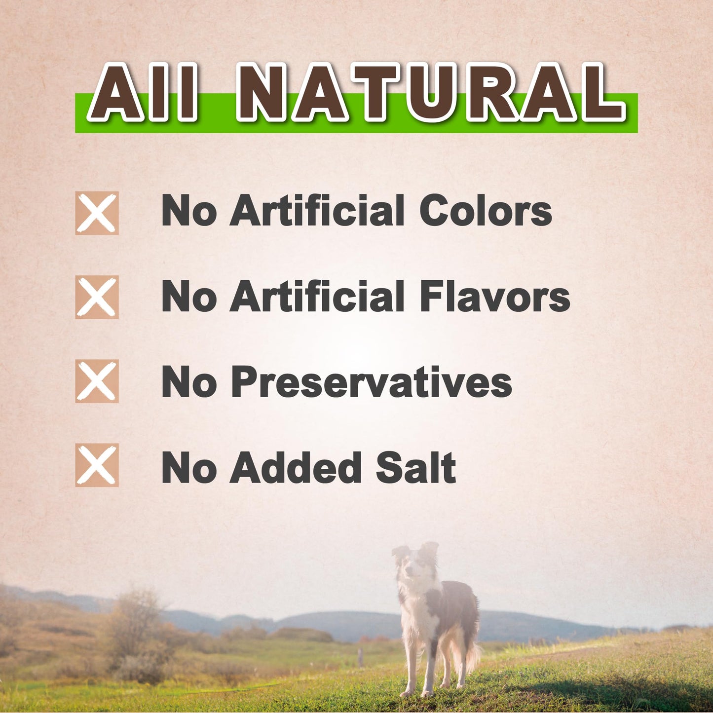 AFreschi Natural Chicken Fillet Jerky 16 oz, Dog Treats, All Natural, Grain-Free, High-Protein, Low Fat, Healthy & Easily Digestible