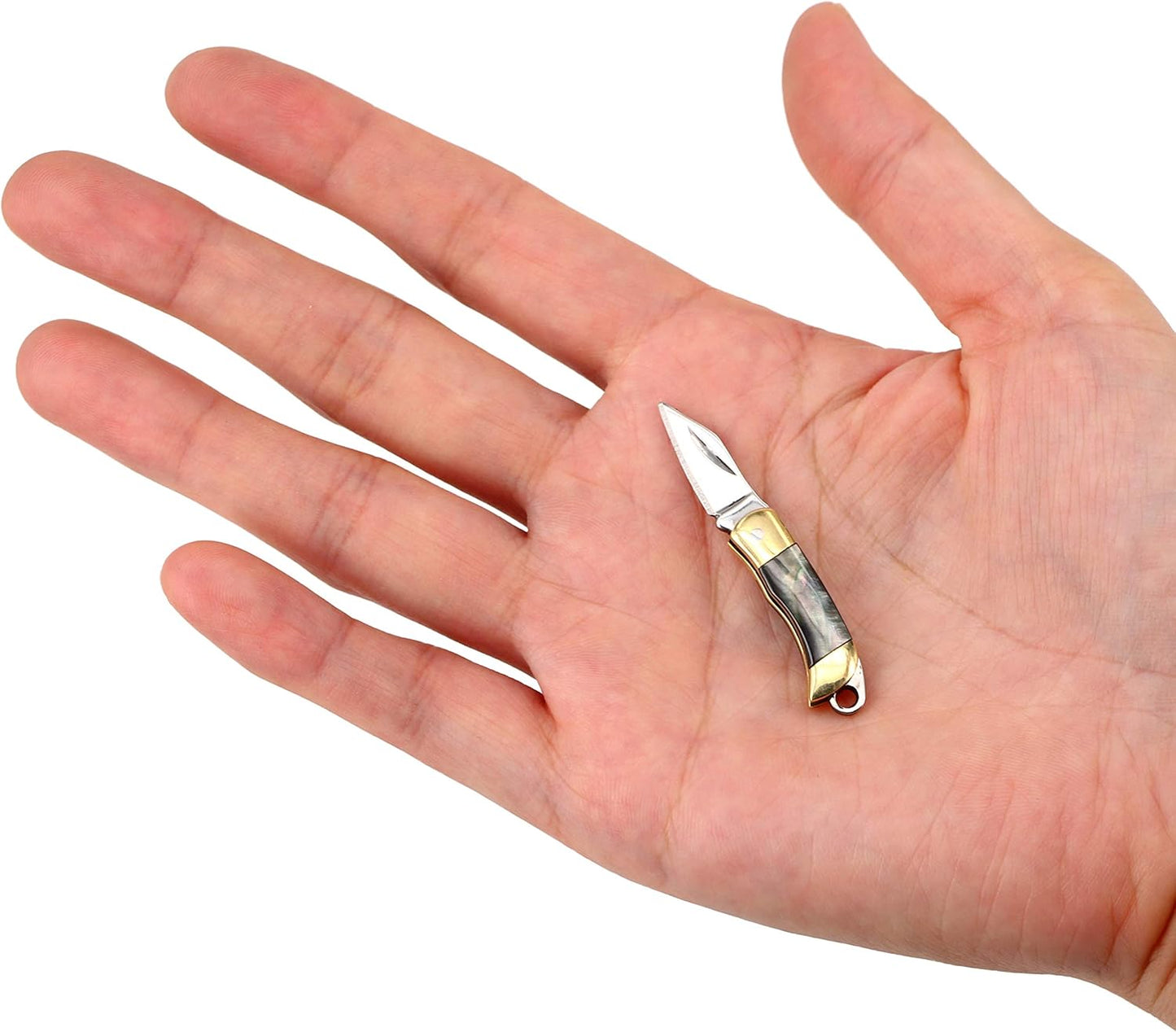 Miniature Gadgets Pocket Knife, Eastern Delights EDC Ultra Smallest Multifunction Cutting Blade Tool (Black Shell Handle)