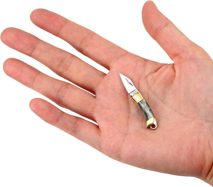 Miniature Gadgets Pocket Knife, Eastern Delights EDC Ultra Smallest Multifunction Cutting Blade Tool (Black Shell Handle)