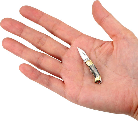 Miniature Gadgets Pocket Knife, Eastern Delights EDC Ultra Smallest Multifunction Cutting Blade Tool (Black Shell Handle)