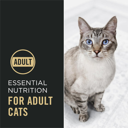 Purina Pro Plan High Protein Cat Food With Probiotics for Cats, Chicken and Rice Formula - 16 lb. Bag