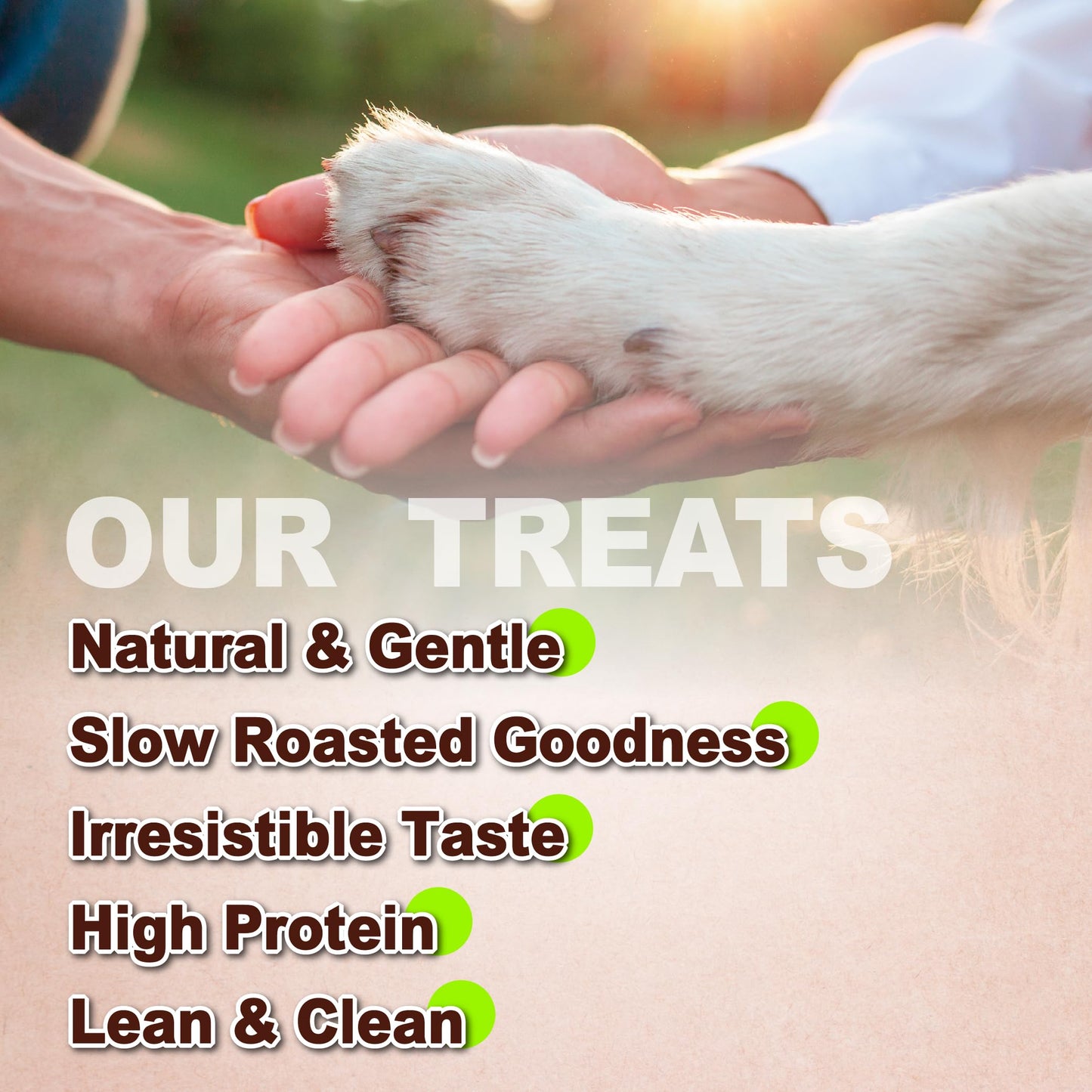 AFreschi Natural Chicken Fillet Jerky 16 oz, Dog Treats, All Natural, Grain-Free, High-Protein, Low Fat, Healthy & Easily Digestible