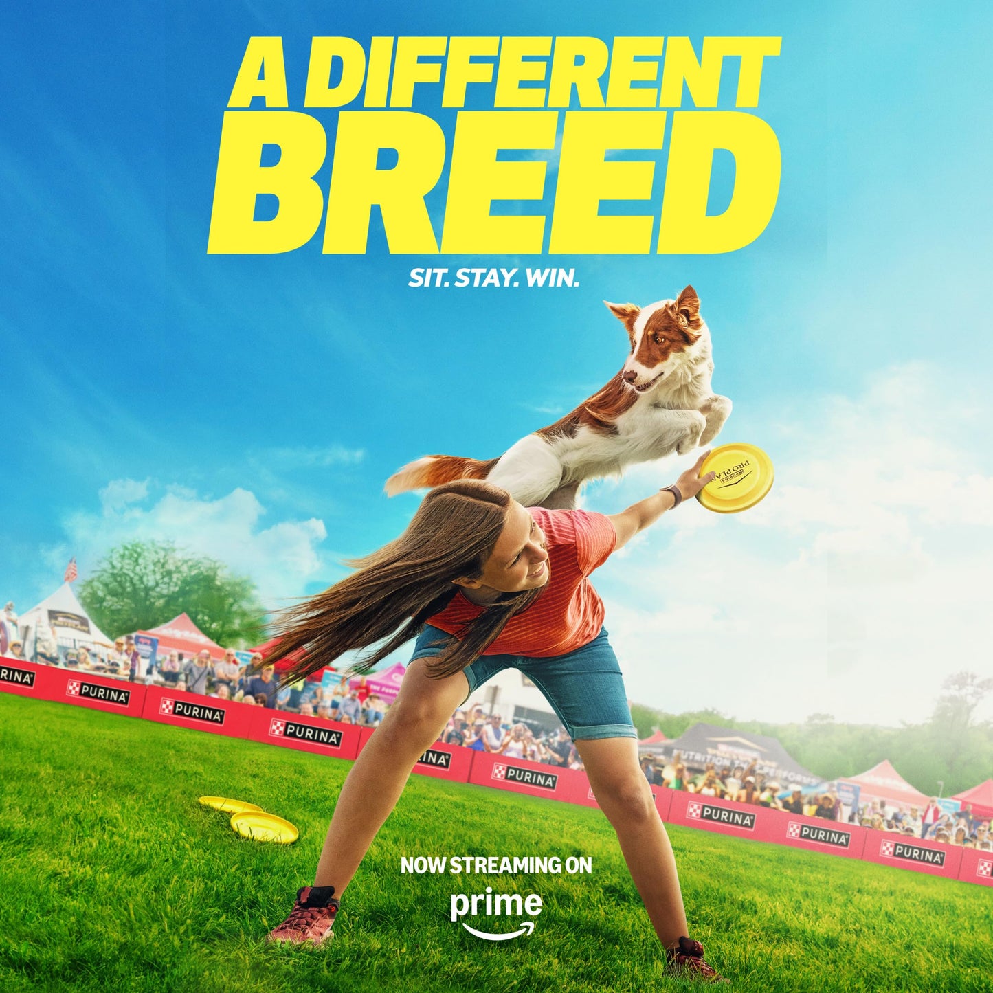 Purina Pro Plan Small Breed Dog Food Shredded Blend Chicken and Rice Formula With Guaranteed Live Probiotics - 34 lb. Bag